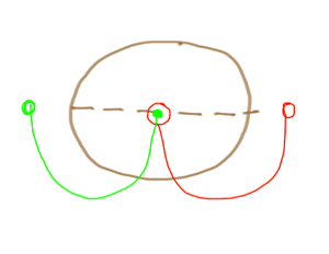 automata sculptris